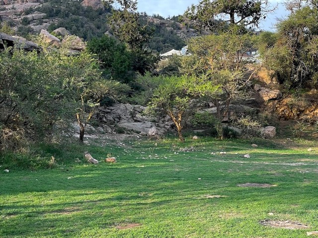 منتزة الحيفة